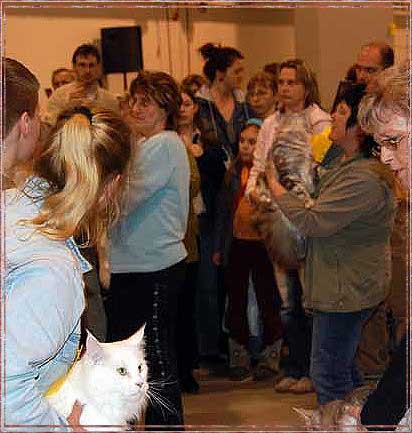 Bild-045