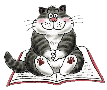 CATsitON_BOOK