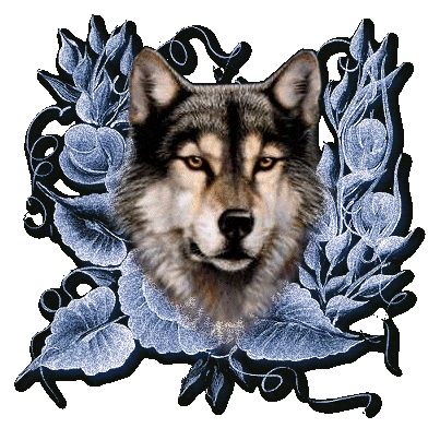 animal088