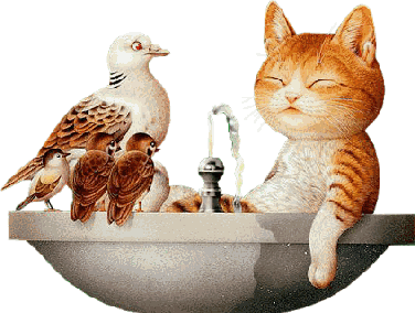 birdbath